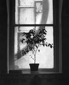 School_room_window