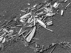 Flotsam