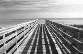 Dock