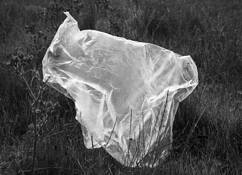 Plastic_bag