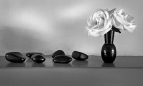 Roses_and_rocks