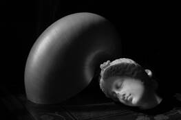 Stilllife