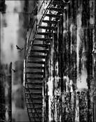 Flight_of_stairs__easton
