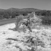 Nm_hwy_90_near_mile_marker_19