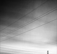 Night_lines