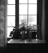 Priscilla_s_house