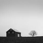 One_tree_hill
