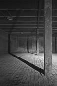 Long_shadows