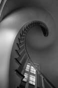 Nautilus
