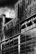 Solar_windows