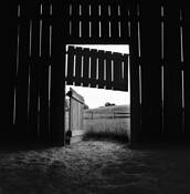 Untitled_14