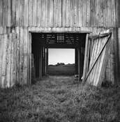 Untitled_15