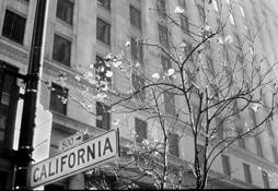 500_california_street