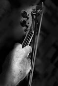 Old_violinist_eunice