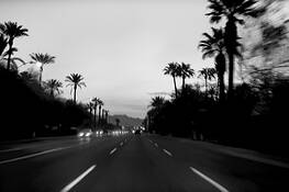 Headlights_and_palms
