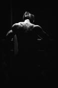 The_boxer