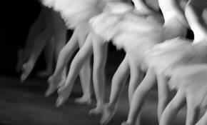 Multiplicity