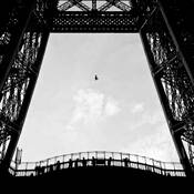 Birds_eye_view