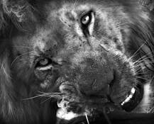 An_african_dinner_1
