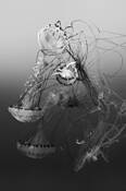 Sea_dance_7