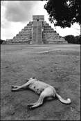 Chichen_itza