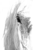Soul