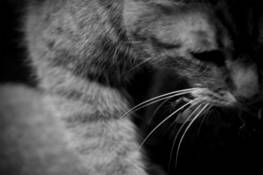 Untitled_8