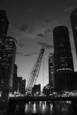 River_crane