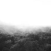 Horizon_6