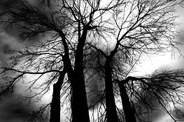 Synapse_4