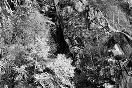 Late_autumn_early_snow_04
