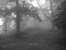 Doughton_park__1