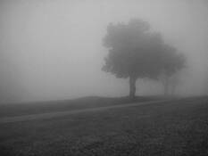 Doughton_park__2