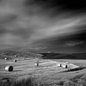 Pienza_2