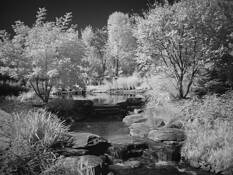 Creek