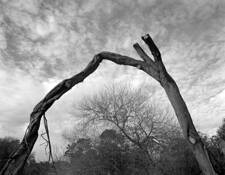 Stow_lake_10