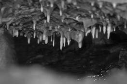Punkva_caves__4