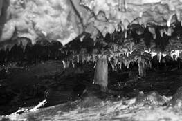 Punkva_caves__6
