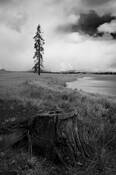 Untitled_6