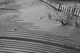 Sand_shapes