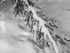 Rock_run_creek_in_winter_1