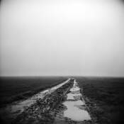 Poetics_of_the_landscape_ii
