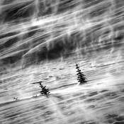 Winter_poem_no__13