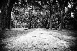 The_road