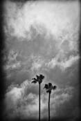 Untitled_1