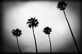Untitled_3