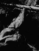 Sticks_and_stones_3