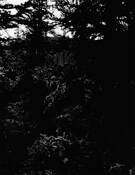 Sticks_and_stones_4