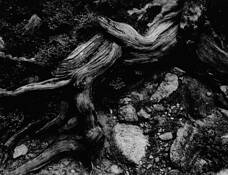 Sticks_and_stones_5
