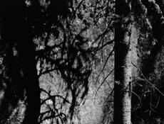 Sticks_and_stones_7